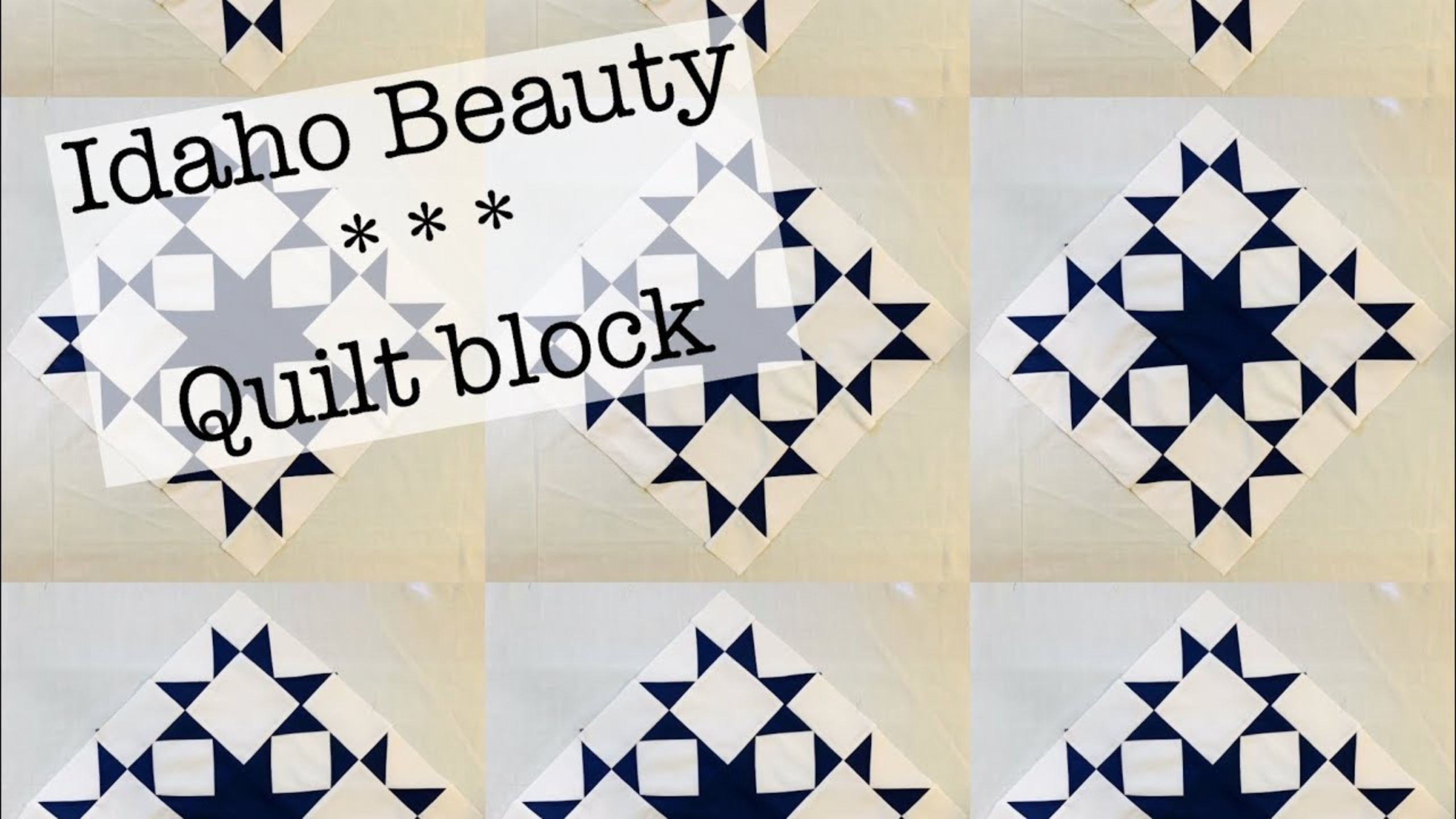 Idaho Beauty quilt block with Beth Shibley